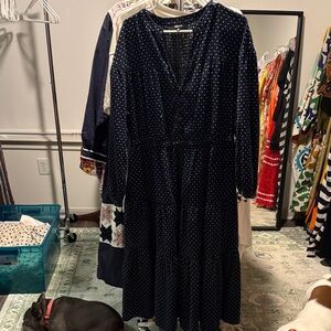Madewell Navy Polka Dot Dress